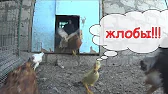 Семья в деревне Life