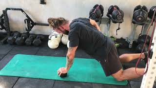 Single arm scap push up on ball