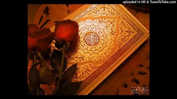 الشيخ / محمد يوسف -- سورة الشورى