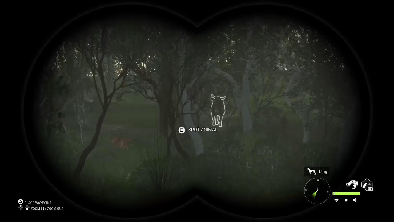 Ps5 pro Black Ops 6 GTA 5  The hunter call of the wild Gran turismo 7