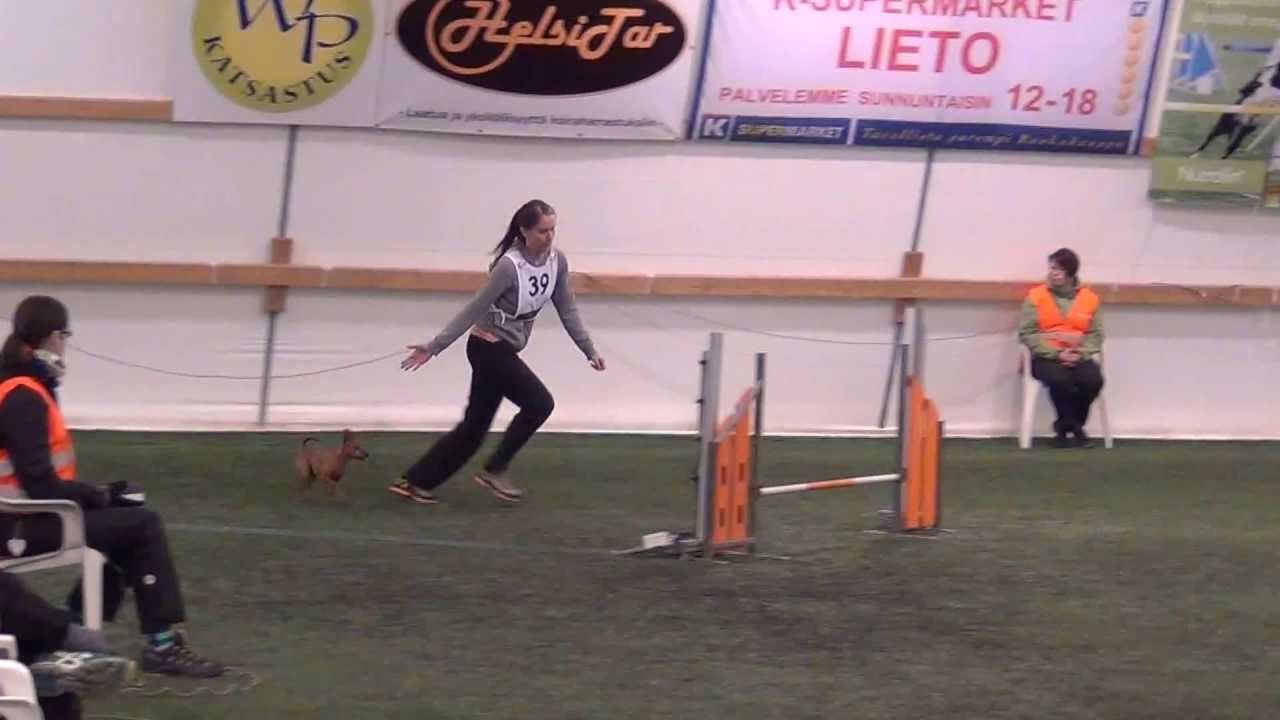 B , S3 , Tira , kääpin , v10 , s2750)