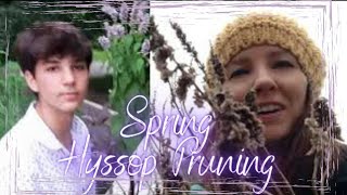 Spring Hyssop/Agastache Pruning • Growing Home Gardening screenshot 5