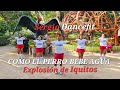 Como el perro bebe agua  explosin de iquitos  coreografa fitness by sergiodancefit