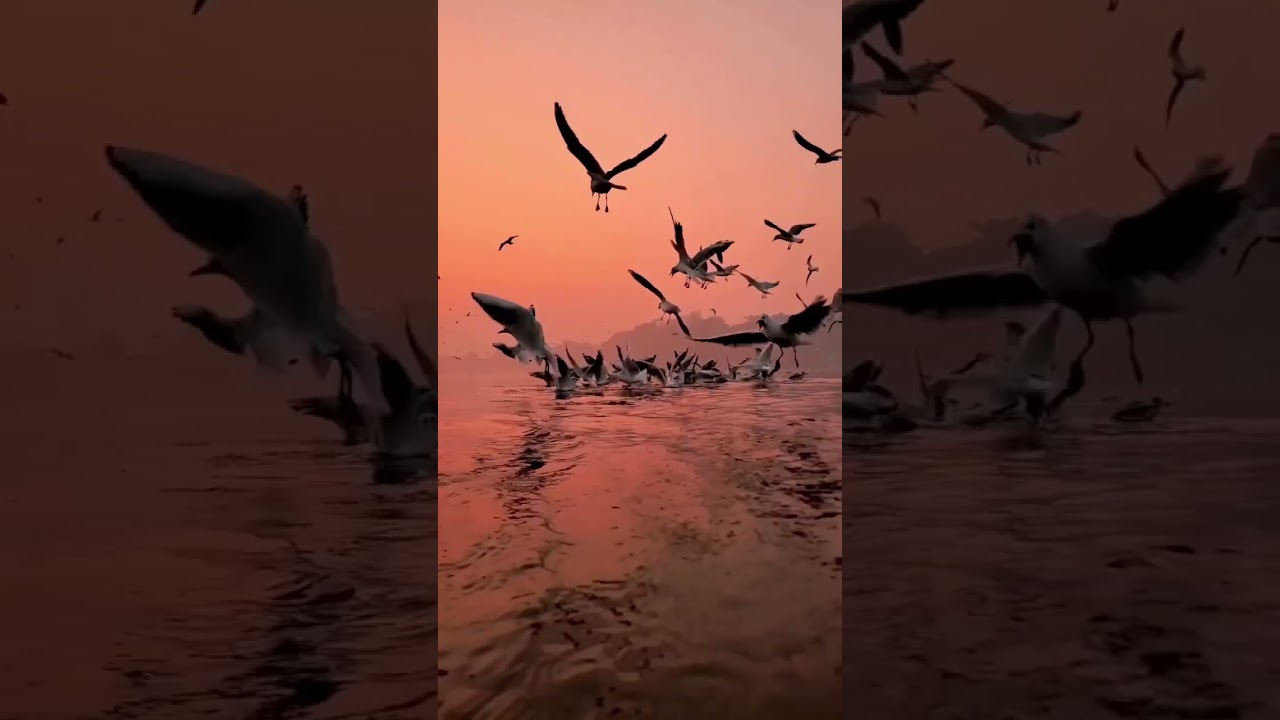 Tas tolimas ezeras 02