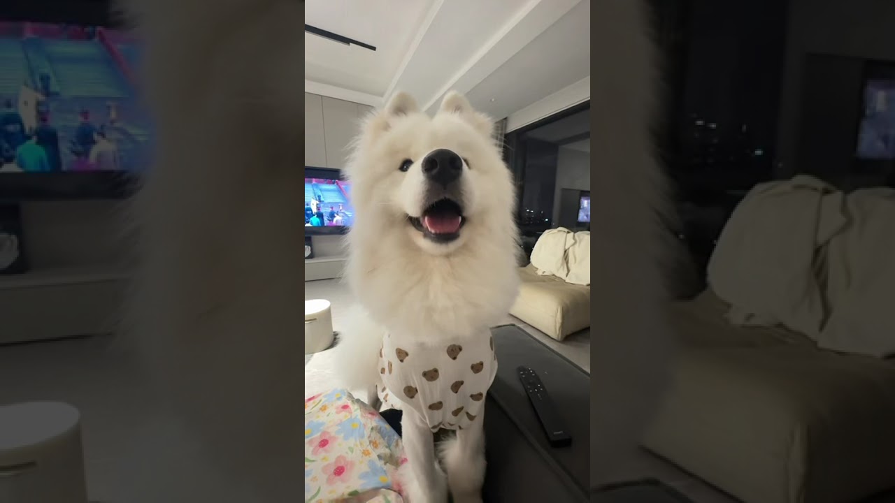 #funny #funnyvideos #fyp #pov #foryoupage #fypシ #foryou#ytb