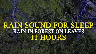 Rain & Thunder Sounds For Sleeping | Heavy Rain and Thunder Sound at Night - Relax Sleep Sounds