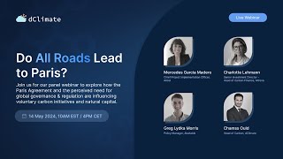 How are Global Governance and Regulation Influencing the Voluntary Carbon Market (VCM)?