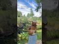 THIS IS CRAZY ЁЯШ ЁЯРжтАНЁЯФе 2025 Makeup Fitoftheday Ootdfashion Photography Bts Shorts Summerfits THIS IS CRAZY ЁЯШ ЁЯРжтАНЁЯФе 2025 Makeup Fitoftheday Ootdfashion Photography Bts Shorts Summerfits