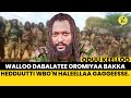 Walloo Dabalatee Oromiyaa Bakka Hedduutti WBO N Haleellaa Gaggeesse Walloo Dabalatee Oromiyaa Bakka Hedduutti WBO N Haleellaa Gaggeesse