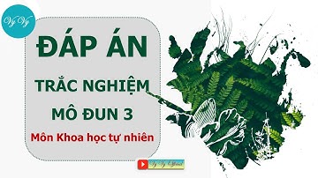 Đáp án mô đun 3 môn Khoa học tự nhiên-Phần trắc nghiệm II VyVy Official