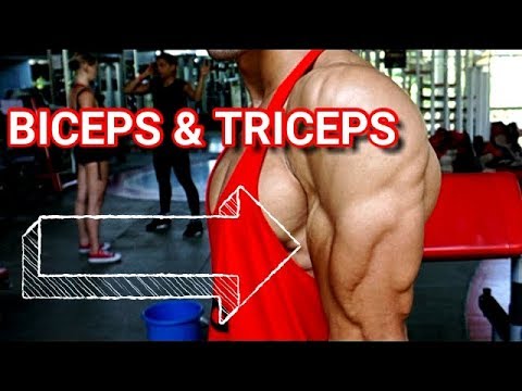 BOLEH GAK LATIHAN BICEPS & TRICEPS BERSAMA???