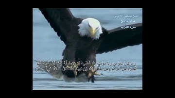 الشيخ مصطفى اللاهونى ما تيسر من سورة الاحزاب من الآية 35 الى 50