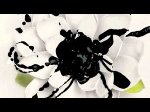 eyes set to kill white lotus-forget