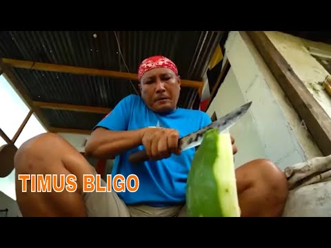 TIMUS BLIGO | JEJAK SI GUNDUL (13/07/22)