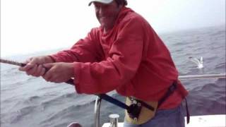 Big Conger Action