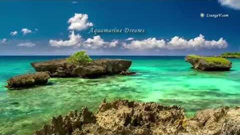 إِنَّ الْأَبْرَارَ يَشْرَبُونَ مِن كَأْسٍ كَانَ مِزَاجُهَا كَافُورًا تلاوة القارئ محمد سمير