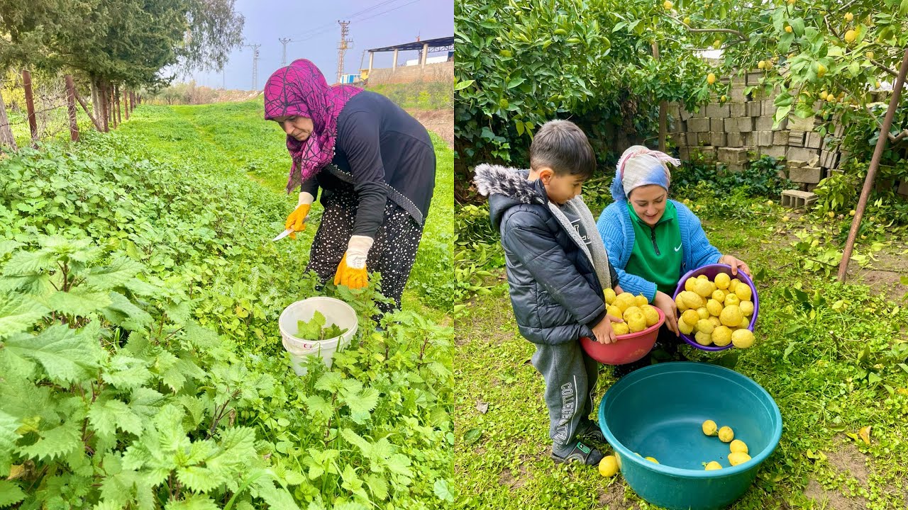 KÖY HAYATI SEVENLER KISA ÖZET | KÖY EVİ TOPRAK YEMEĞİ