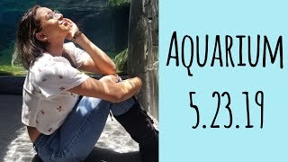 Aquarium Day 5.23.19