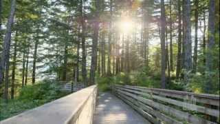 There is Sunshine in My Soul Today | The Tabernacle Choir chords