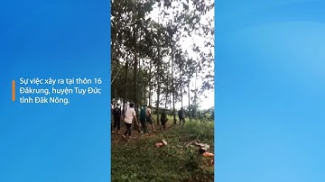 Công ty không đền bù thỏa đáng, đưa côn đồ đến đàn áp dân, chính quyền làm ngơ