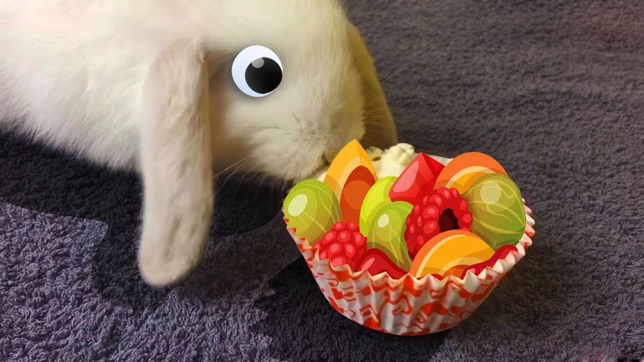 Киндер ежика. Кролик с фруктами. Кролик с сюрпризом. Кролик Нолик. Рыжий Ежик Киндер сюрприз.