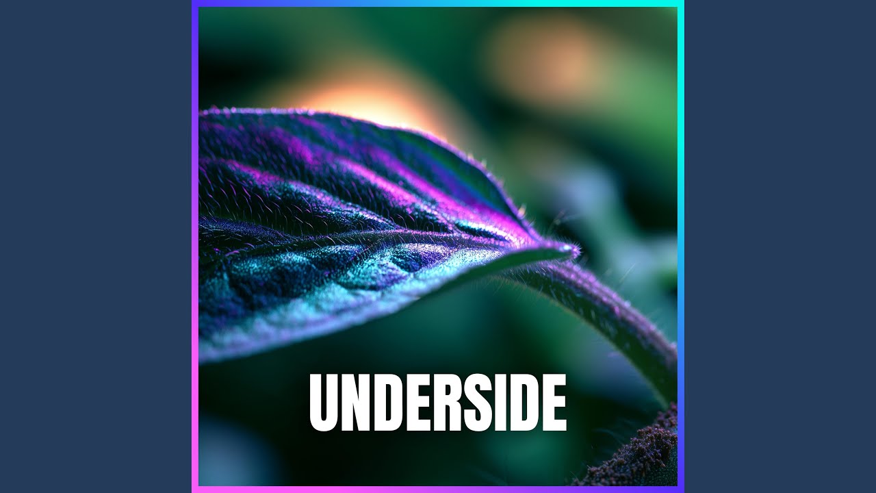 Mira Xylem en YouTube Mira Xylem en YouTube