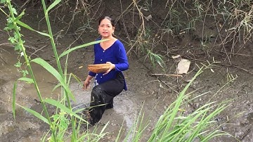 Ký ức miền Tây thôn nữ mò ốc đắng trộn gỏi bắp chuối | Món ăn dân dã quê nhà mùa nước nỗi |T234