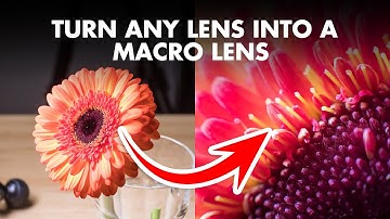 3 Cheap Ways to Turn Any Lens into a Macro Lens | Macro Photography