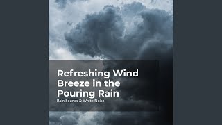 Wind and Rain Harmony
