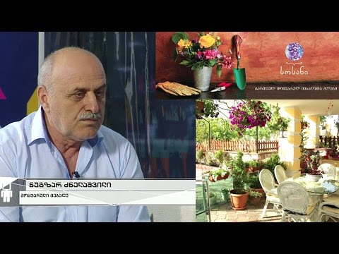 კონკურსი „საქართველო ჩემი ბაღია“