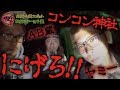 【心霊配信(怖い動画)】逃げろ！コンコン神社！！【全国心霊スポット配信の旅 千葉県・下飯田稲荷(ヤミー･AB蔵コラボ)#5】