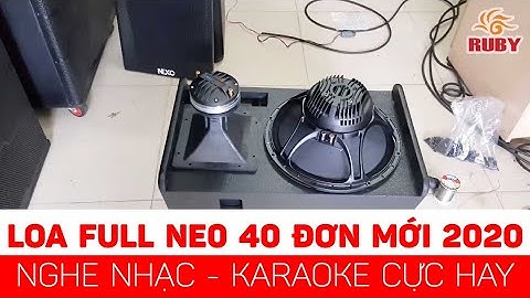 Loa Full neo 40 đơn cao cấp nghe nhạc karaoke cực hay
