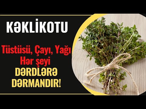 Keklikotu bitkisi - Kəklikotu çayının faydaları - zərərləri | 2022