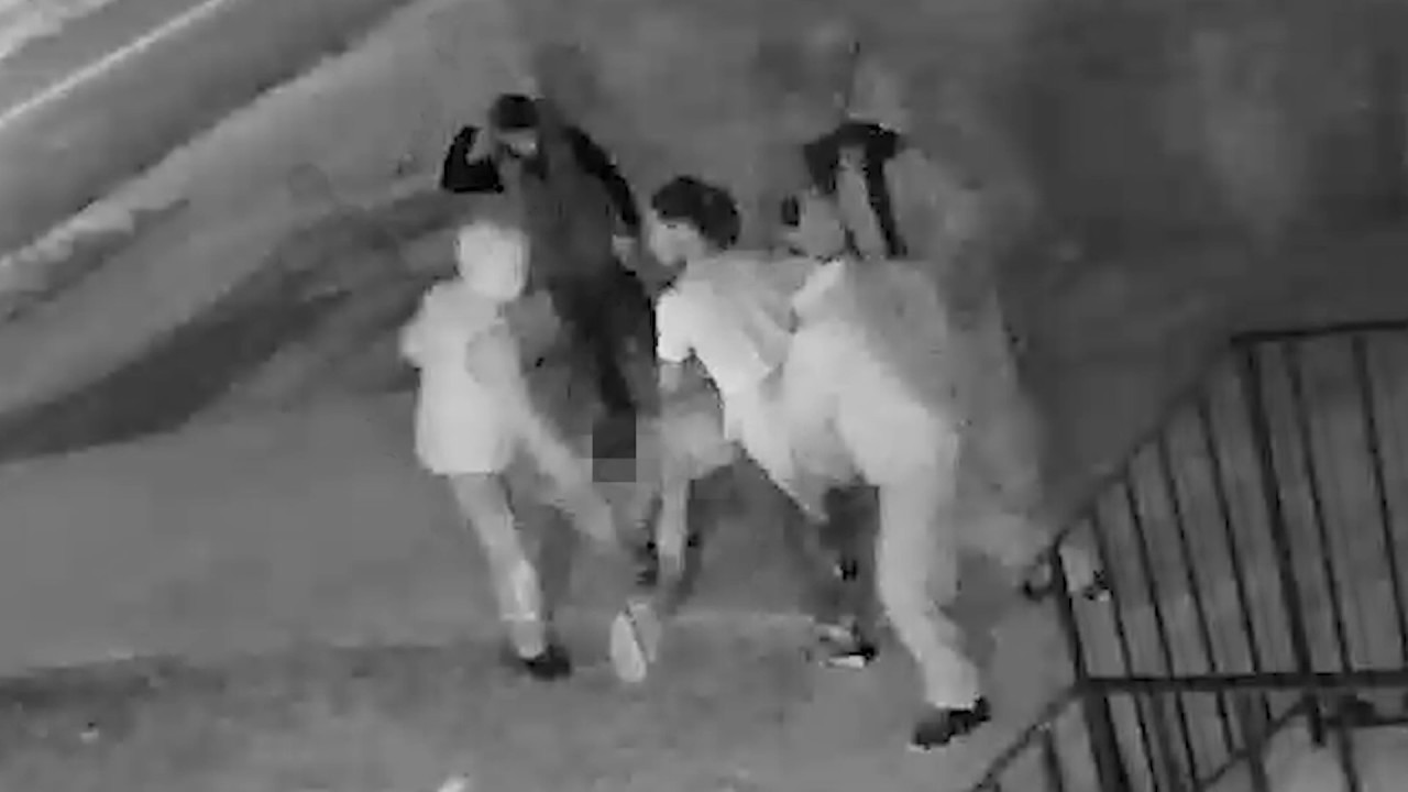 Persons of Interest in Robbery-F&V, 5500 b/o Central Ave, SE, on February 7, 2017 videos for cats