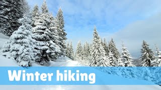 Winter Hiking In Bucegi Mountains, Romania
