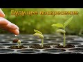 "Будущее воскресение". П. Э. Эргардт. МСЦ ЕХБ.