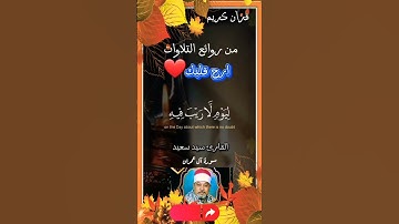 سيد سعيد || #تلاوة_خاشعة #ستوري_قرآن