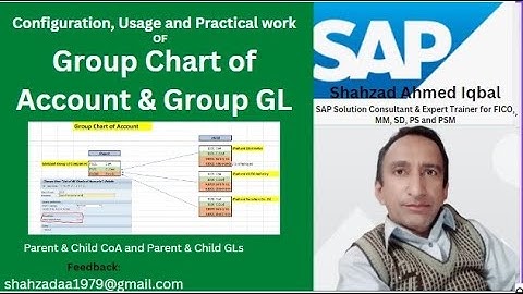 Configuration of Group Chart of Account | Group Chart of Account in SAP| Parent & Child CoA and GLs