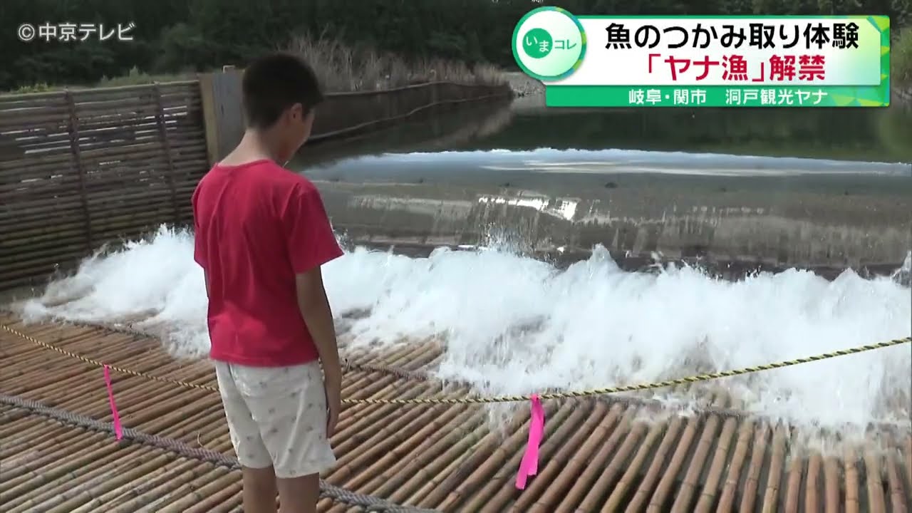 【８月１日は「ヤナ漁」の解禁日】魚のつかみ取り体験「ヤナ漁」解禁　岐阜・関市
