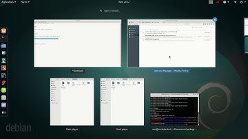 how to install adobe flash player in kali linux / ubuntu / arch linux  (liinux)