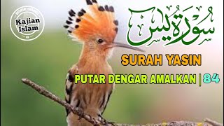 SURAH YASIN | PUTAR DENGAR AMALAKAN | KAJIAN ISLAM OFFICIAL | 84