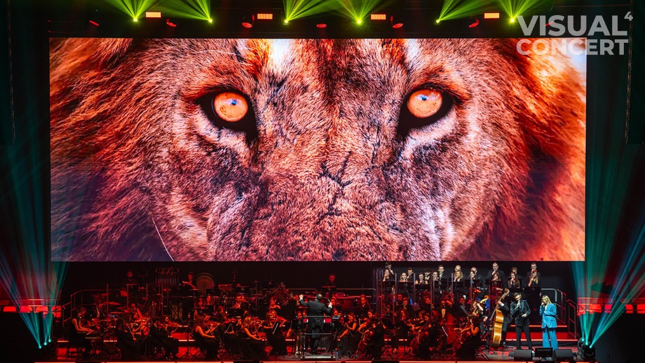 Visual Concert 4 - Koncert Muzyki Filmowej i Epickiej | JESIEŃ 2025