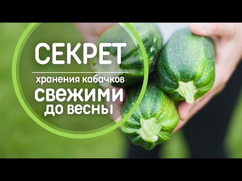 Video: Картошка участогундагы сымал курттан кантип кутулууга болот?