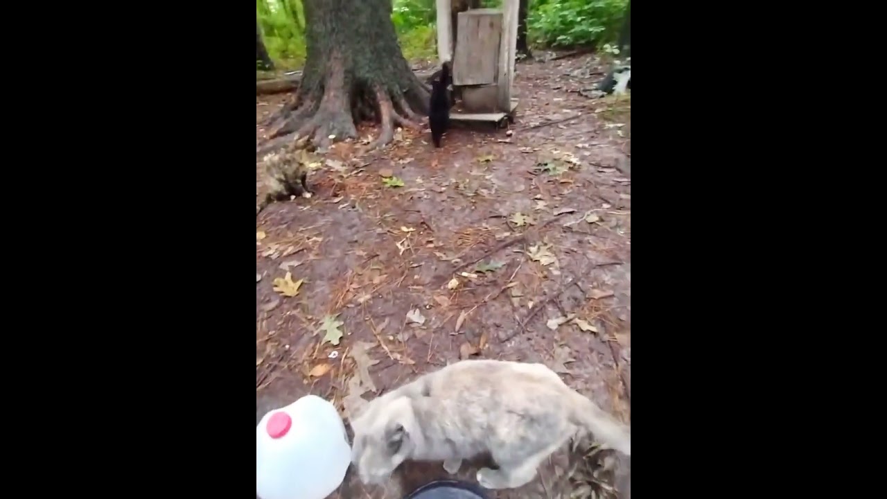 Special Delivery😂for Your Sibling 