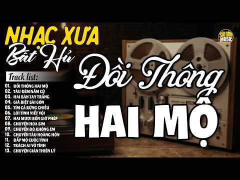 Liên Khúc Bolero Ca Nhạc Trữ Tình KHÔNG QUẢNG CÁO - LK Nhạc Vàng Tuyển Chọn Bài Hay, Nghe Là Mê Say