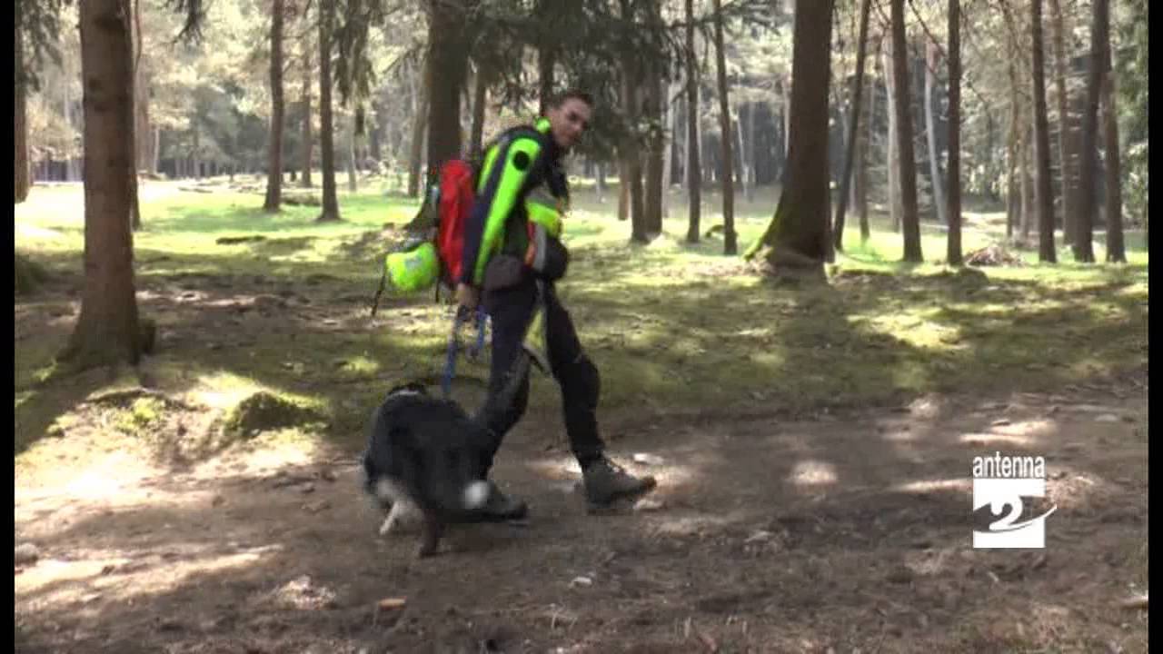 Clusone prove di ricerca per unità cinofile degli Alpini Antenna 2 TV 21042015