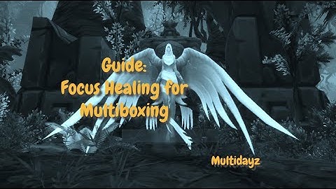 Guide: Focus Healing Multiboxing! x5