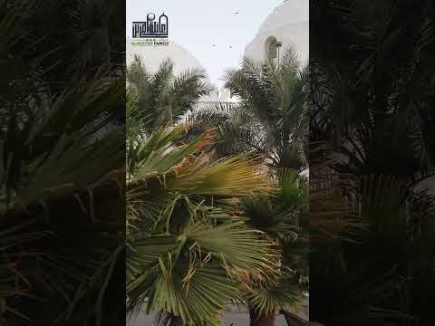 من كتاب تدوين السنة د محمد عجاج الخطيب 18