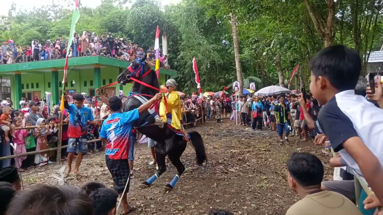 Akhir dari arak arakan kuda jingkrak di sucen juru tengah#kudajingkrakpurworejo #kudajingkrak