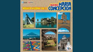 Mosaico de Sones 7: Bailar Llorando / Chinique Querido / San Miguelito / Alma Shecana